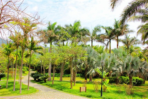 夏力天手工布甸奶茶