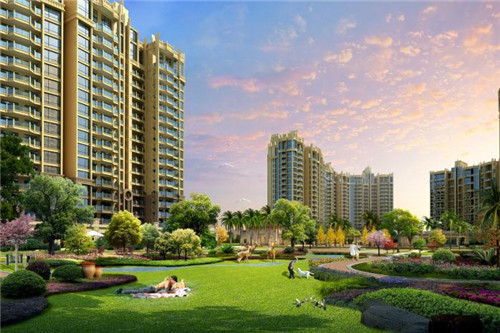 爸比宝贝大鸡排