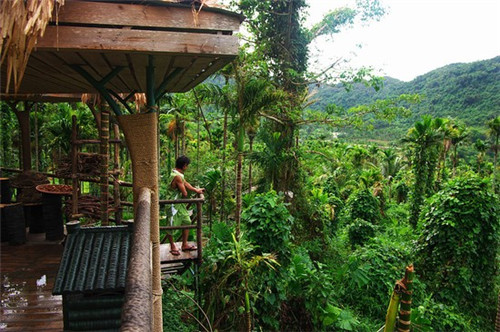 薛太保肥肠芋儿鸡