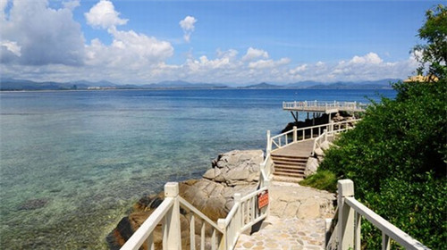 一只鲍鲍汁焖鸡