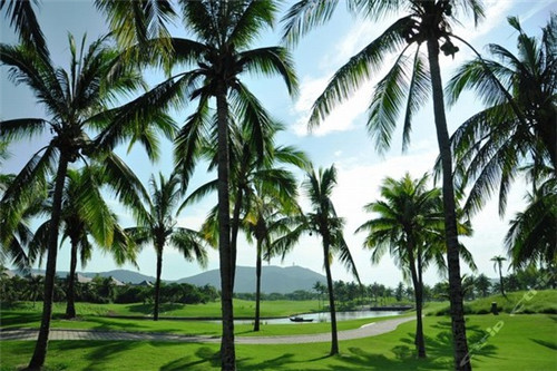 食尚旋转小火锅