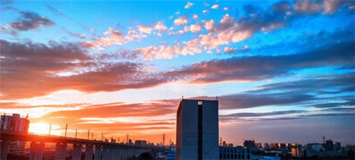 恩施魔芋小吃加盟费多少