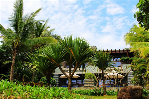 犟样儿酱骨饭加盟收益怎么样