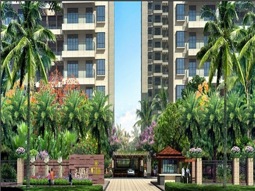 养雷龙鱼十大禁忌是什么（养雷龙鱼十大禁忌是什么呢）