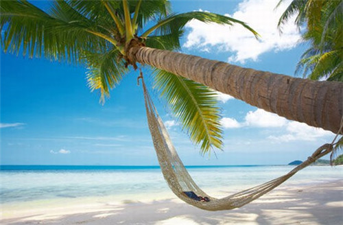 虾仁滑蛋的十大秘诀是什么（虾仁滑蛋的制作方法）