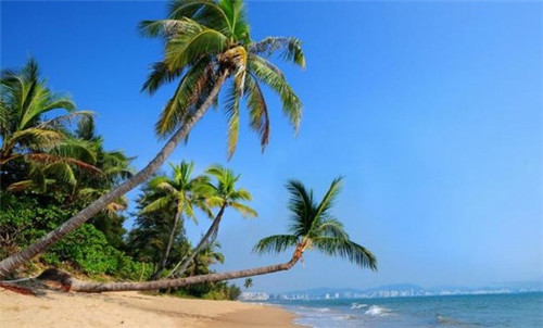 为什么太阳能是可再生能源的一种（为什么说太阳能是一种清洁经济取之不尽的可再生能源）