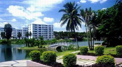 炒洋芋炒牛肉的做法大全（炒洋芋炒牛肉的做法大全视频）