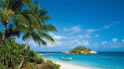 一种菌类太岁（菌类中的极品）